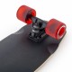 Mini Cruiser Landyachtz Dinghy Coffin – Stealth Card