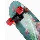Mini Cruiser Landyachtz Raft - Trout