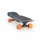 Mini Cruiser Landyachtz Raft - Trout